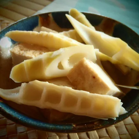 Urumanchu Pensiune